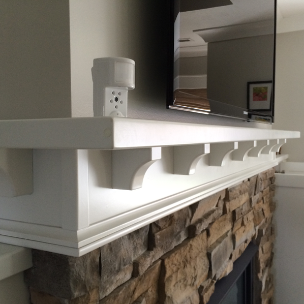 Qolsys QZ8100-840 Image Sensor - Advanced Security LLC